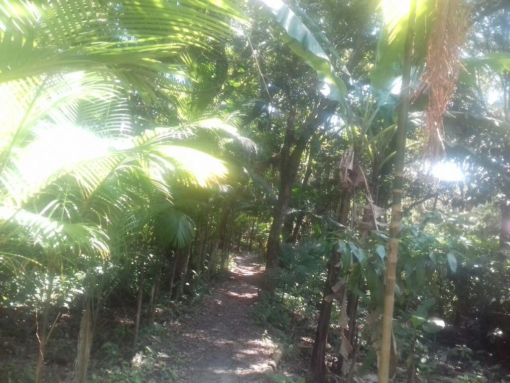 Recanto Da Kaka Ilha do Mel Exterior photo